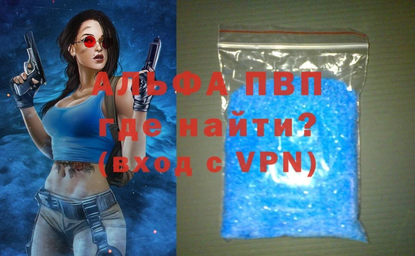 сатива Пролетарск