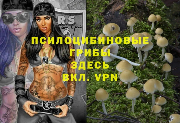 первитин Протвино