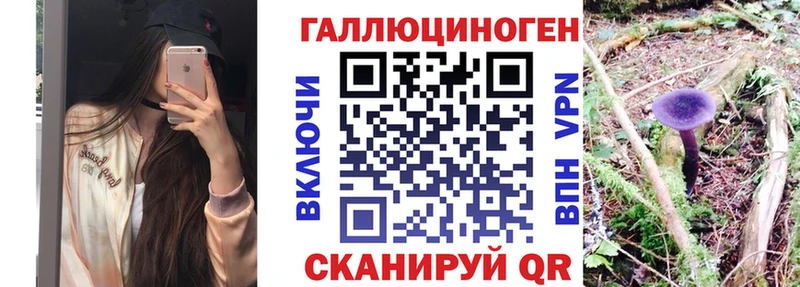 Купить где  Чёрмоз  Псилоцибиновые грибы Magic Shrooms 